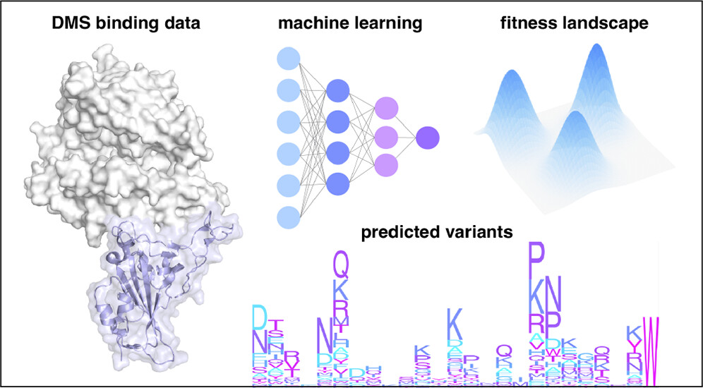 durumeric_machine_2026.jpg